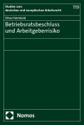 Cover-Bild zum Titel 'Betriebsratsbeschluss und Arbeitgeberrisiko' von 'Oliver Helmbold'