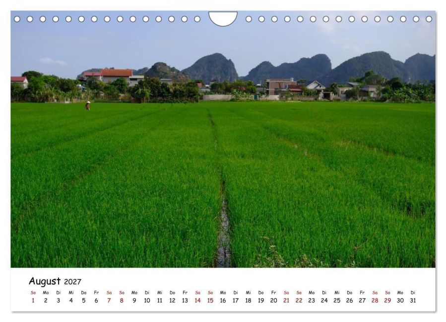 InsideView 13