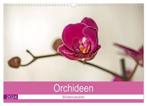 Blütenzauber Orchideen (Wandkalender 2024 DIN A3 quer), CALVENDO Monatskalender - Andrea Potratz