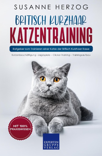 Britisch Kurzhaar Katzentraining - Susanne Herzog
