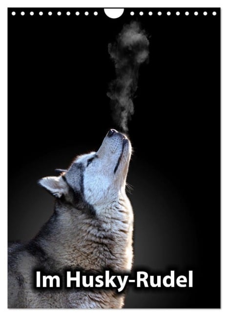 Im Husky-Rudel (Wandkalender 2026 DIN A4 hoch), CALVENDO Monatskalender - Sophie Luther