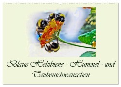 Cover-Bild zum Titel 'Blaue Holzbiene - Hummel - und Taubenschwänzchen. (Wandkalender 2026 DIN A2 quer), CALVENDO Monatskalender' von 'Dusanka Djeric'