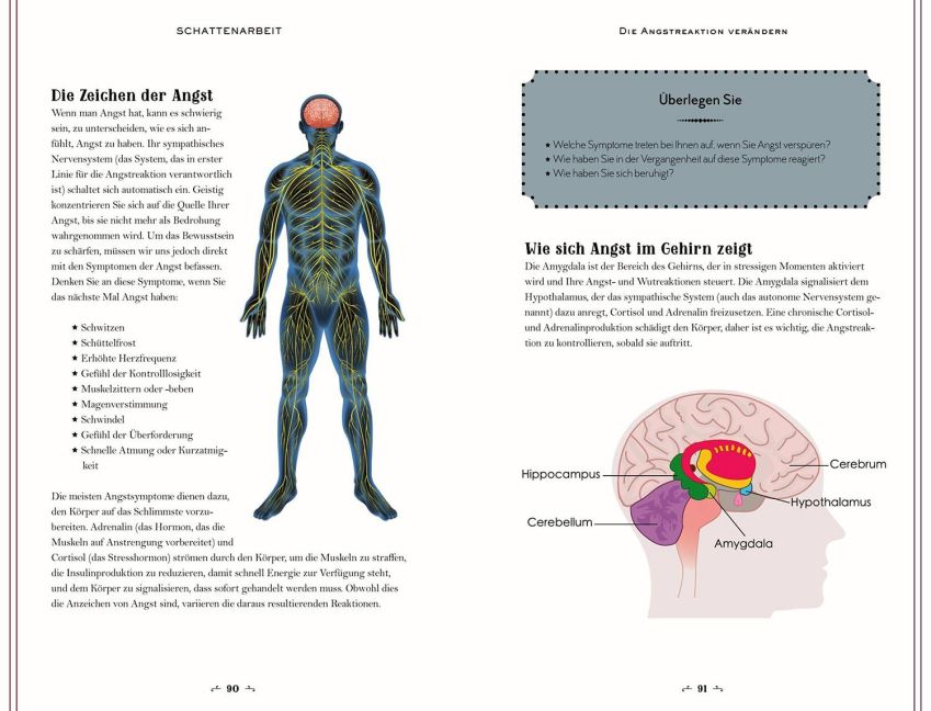 InsideView 4