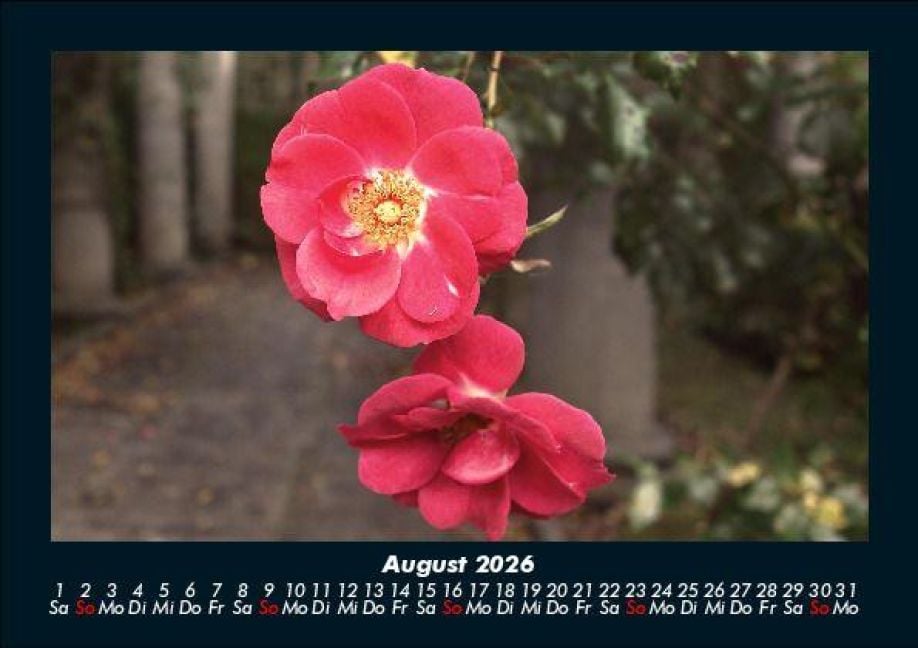 InsideView 12