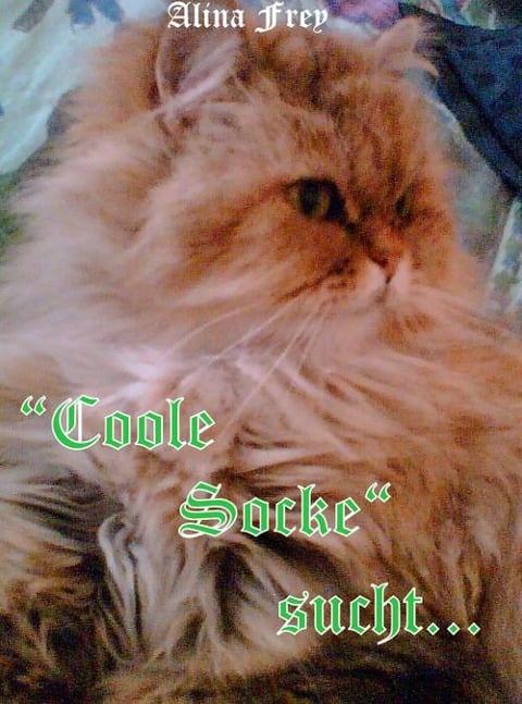 "Coole Socke" sucht... - Alina Frey