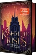 Cover-Bild zum Titel 'Velvet-Dilogie 2: Kashmere Rises, but the Skies fade in Ashes' von 'Julia Dippel'