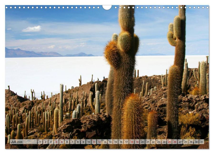 InsideView 12