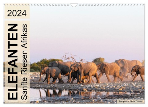Elefanten - Sanfte Riesen Afrikas (Wandkalender 2024 DIN A3 quer), CALVENDO Monatskalender - Silvia Trüssel