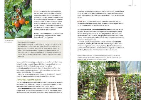 InsideView 6