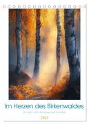 Im Herzen des Birkenwaldes (Tischkalender 2025 DIN A5 hoch), CALVENDO Monatskalender - Steffen Gierok-Latniak