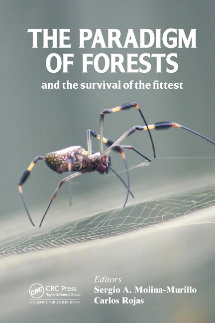 The Paradigm of Forests and the Survival of the Fittest - 