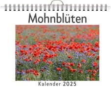 Mohnblüten - Zoe Koch