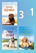 Cover-Bild zum Titel 'Lichterhaven Band 1-3' von 'Petra Schier'
