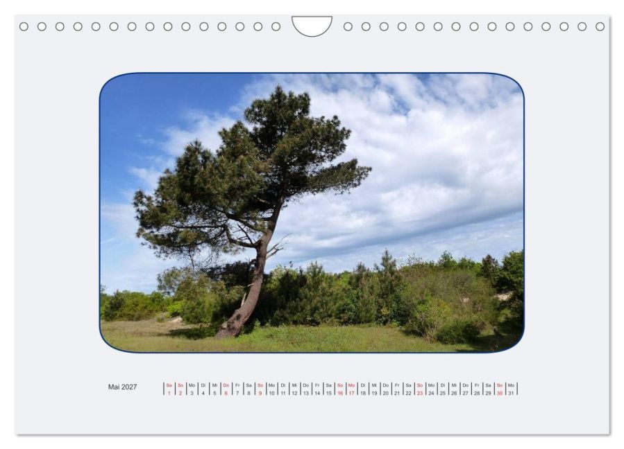 InsideView 10