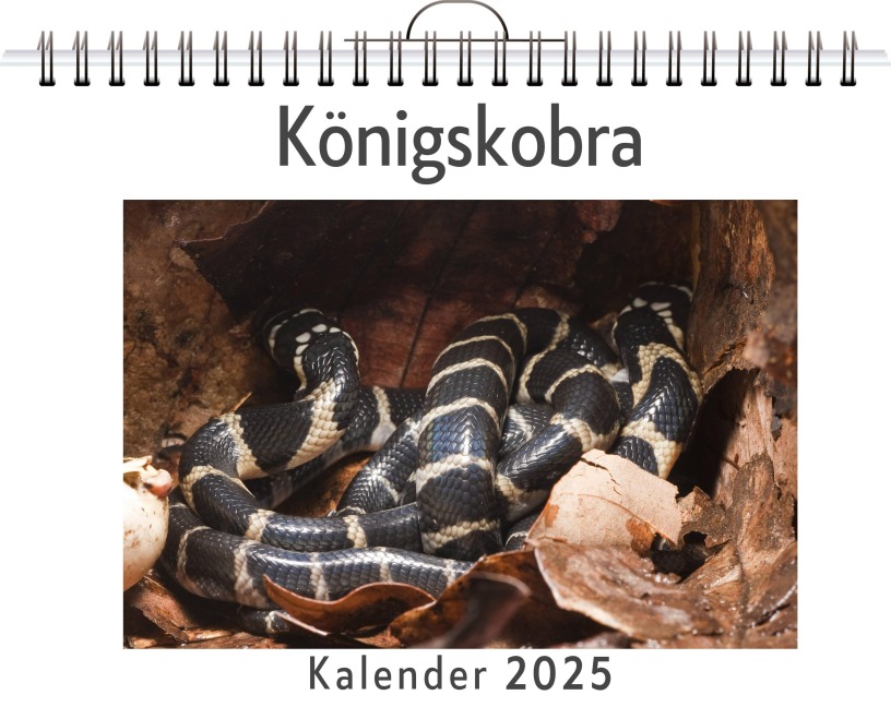 Königskobra - Elias Keller