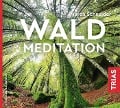 Waldmeditation - Maren Schneider