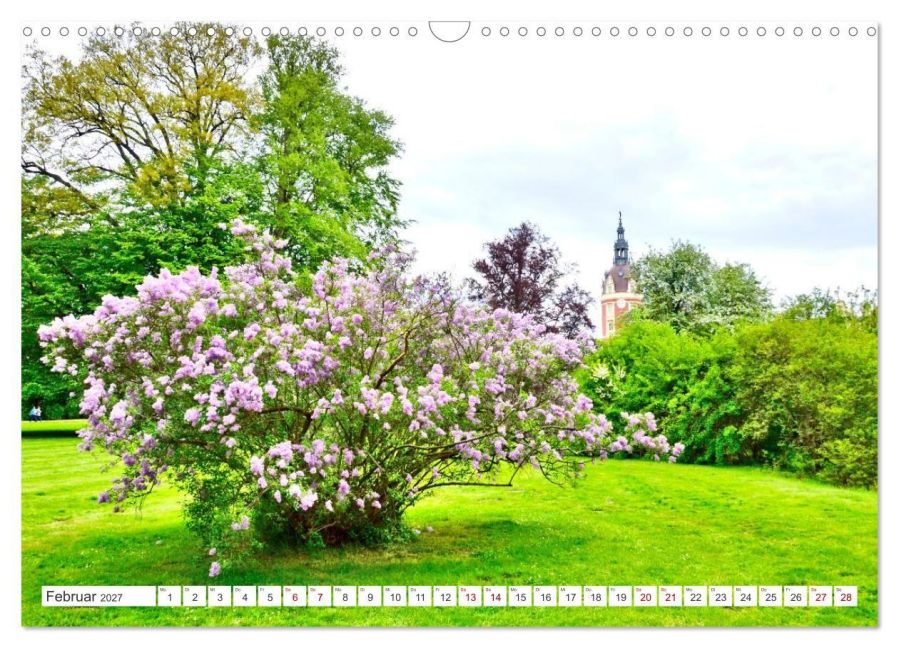 InsideView 7