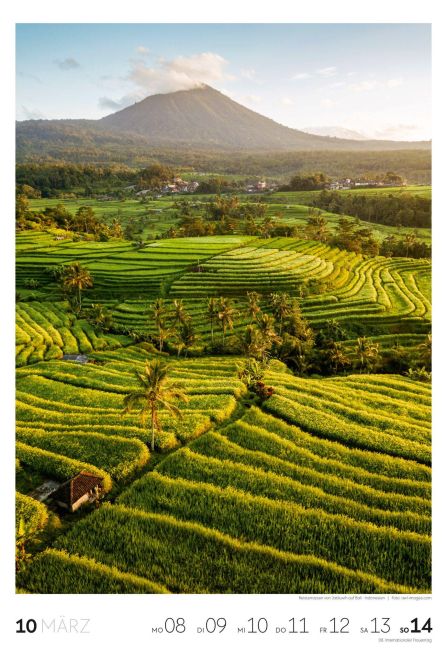 InsideView 11