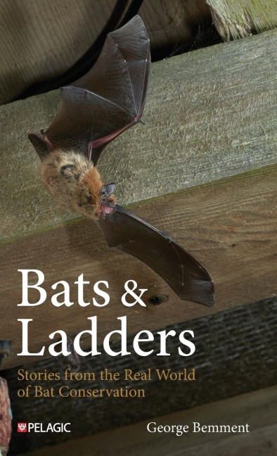 Bats & Ladders - George Bemment