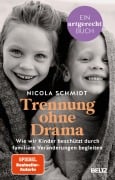 Cover-Bild zum Titel 'Trennung ohne Drama' von 'Nicola Schmidt'