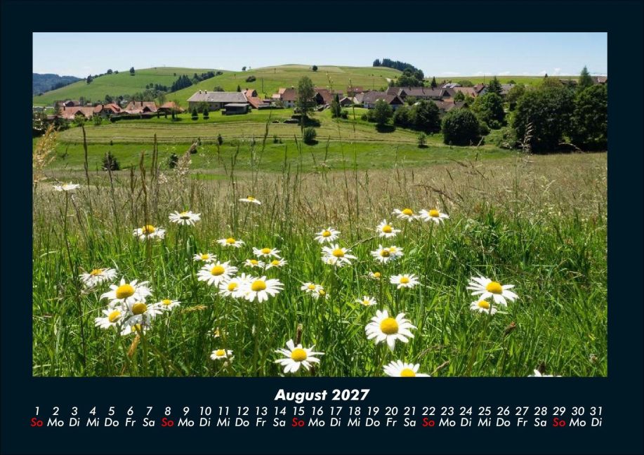 InsideView 12