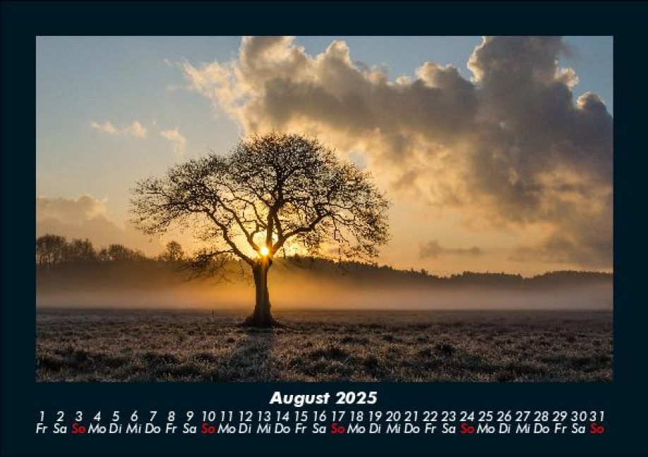 InsideView 12