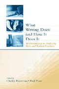 What Writing Does and How It Does It - 