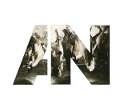 Cover-Bild zum Titel 'Run' von 'Awolnation'