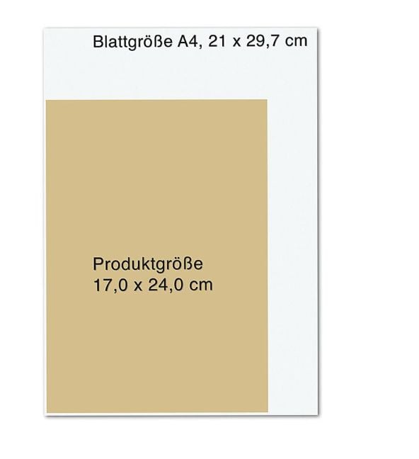 InsideView 6