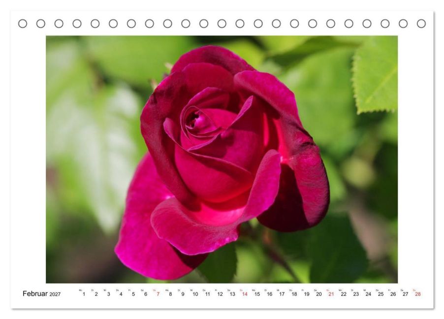 InsideView 7