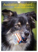 Australian Shepherd - Mit dem Aussie unterwegs (Wandkalender 2026 DIN A4 hoch), CALVENDO Monatskalender - Andrea Mayer Tierfotografie