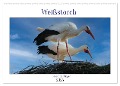Weißstorch, der stolze Flieger (Wandkalender 2025 DIN A2 quer), CALVENDO Monatskalender - Mirjam Geggier