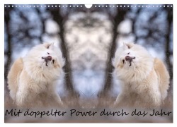 Cover-Bild zum Titel 'Mit doppelter Power durch das Jahr (Wandkalender 2026 DIN A3 quer), CALVENDO Monatskalender' von 'Monika Scheurer'