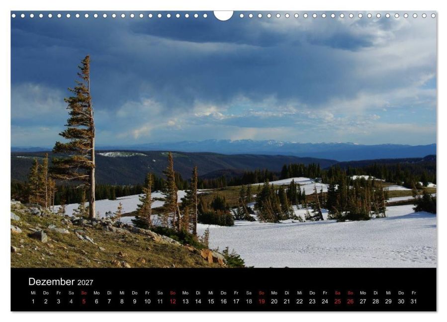 InsideView 4