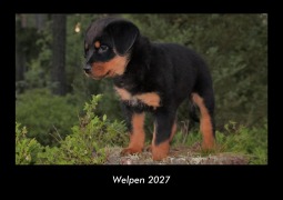 Cover-Bild zum Titel 'Welpen 2027 Fotokalender DIN A3' von 'Tobias Becker'