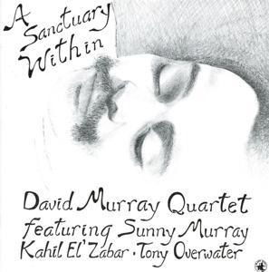 A Sanctuary Within - David Murray