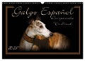 Galgo Español 2025- Der spanische Windhund (Wandkalender 2025 DIN A3 quer), CALVENDO Monatskalender - Andrea Redecker