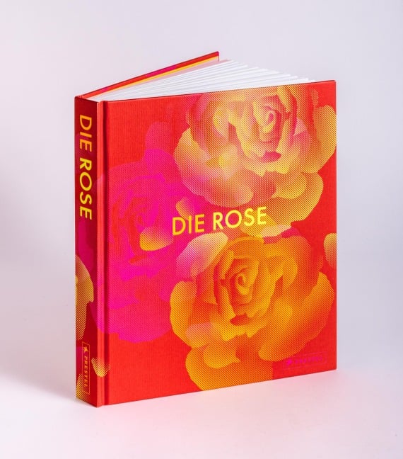 Die Rose - 