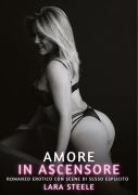 Cover-Bild zum Titel 'Amore in Ascensore' von 'Lara Steele'
