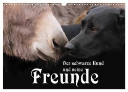 Der schwarze Hund und seine Freunde (Wandkalender 2026 DIN A3 quer), CALVENDO Monatskalender - Michael Gsödl