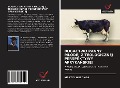 Cover-Bild zum Titel 'BOGACTWO PANNY M¿ODEJ Z TEOLOGICZNEJ PERSPEKTYWY AFRYKA¿SKIEJ' von 'Martin Wesonga'