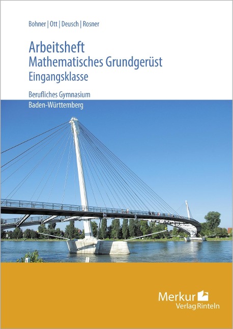 Mathematisches Grundgerüst. Arbeitsheft - Kurt Bohner, Roland Ott, Ronald Deusch, Stefan Rosner
