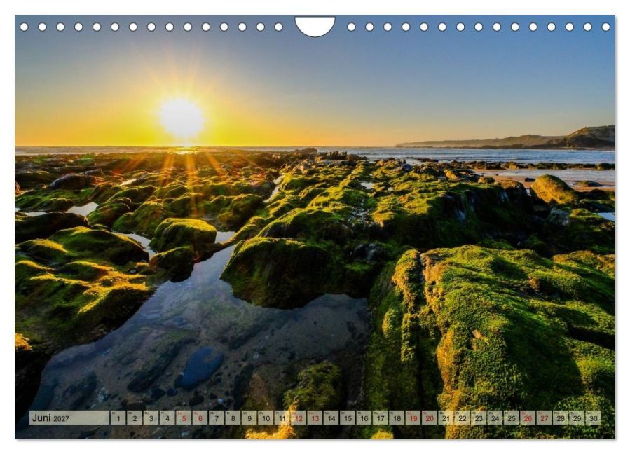 InsideView 11