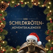 Cover-Bild zum Titel 'Der Schildkröten-Adventskalender' von 'Marie Schubert'