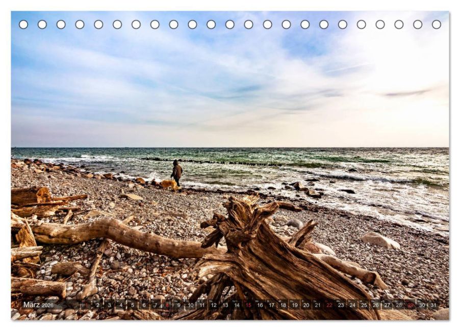 InsideView 8