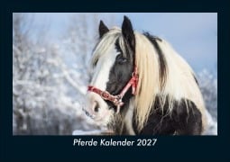 Cover-Bild zum Titel 'Pferde Kalender 2027 Fotokalender DIN A5' von 'Tobias Schmitt, Kevin Heber'