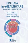 Cover-Bild zum Titel 'Big Data in ehealthcare' von 'Nandini Mukherjee, Samiran Chattopadhyay, Sarmistha Neogy'