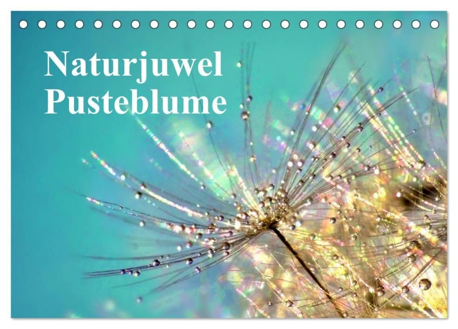 Naturjuwel Pusteblume (Tischkalender 2025 DIN A5 quer), CALVENDO Monatskalender - Julia Delgado