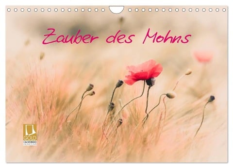 Zauber des Mohns (Wandkalender 2025 DIN A4 quer), CALVENDO Monatskalender - Annette Hanl