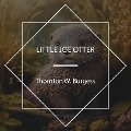 Cover-Bild zum Titel 'Little Joe Otter' von 'Thornton W. Burgess'